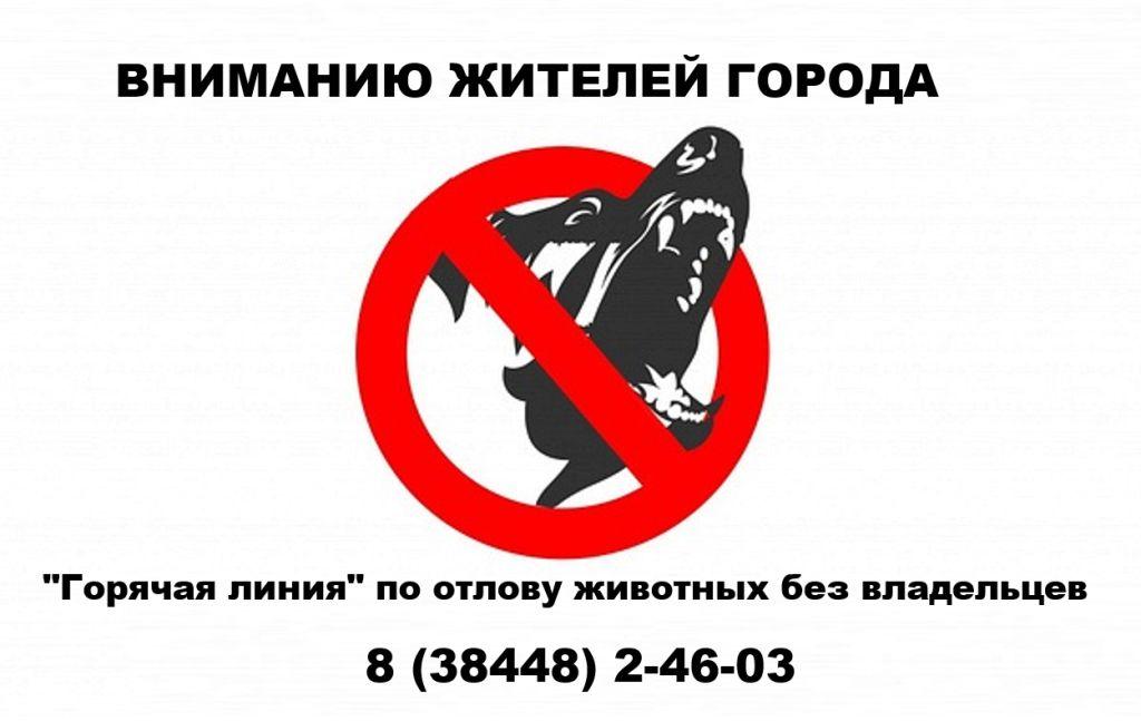 ОТЛОВ ЖИВОТЕНЫХ